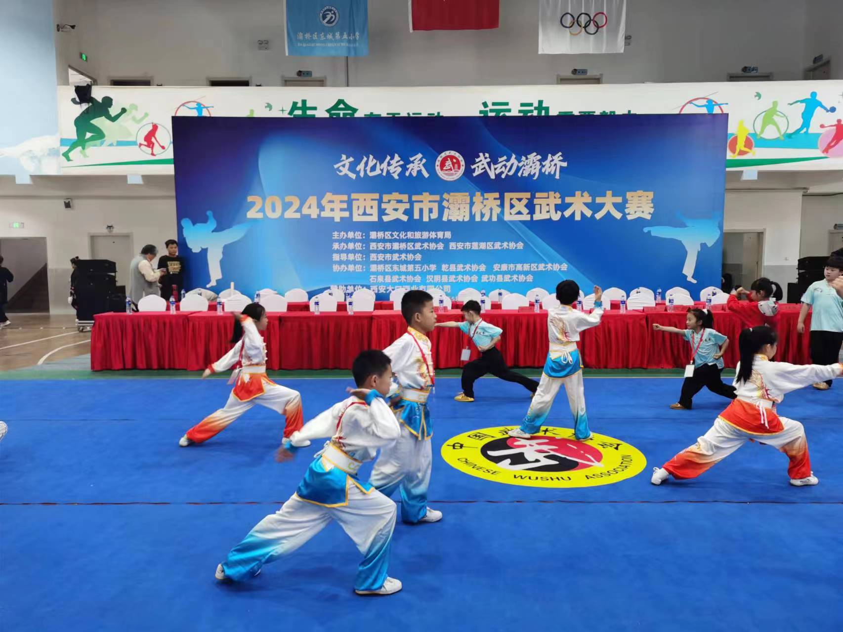 2024西安灞橋區(qū)武術(shù)大賽圓滿落幕：各地英豪聚首，共書武術(shù)新篇章